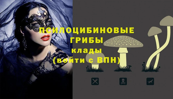 спиды Абинск