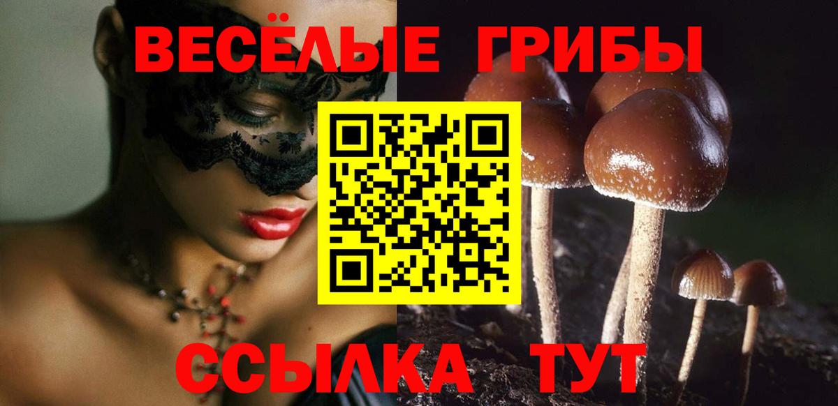 Фрязино  Галлюциногенные грибы ЛСД  Вход с VPN 