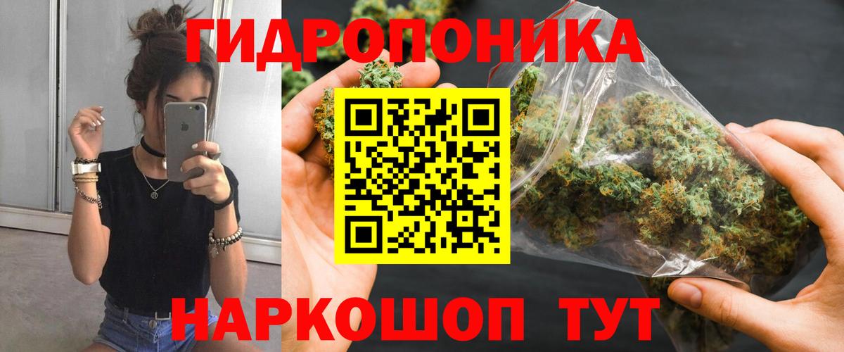 Шишки марихуана Amnesia  Бошки марихуана OG Kush  Фрязино  Конопля индика  Марихуана OG Kush  Вход с VPN 
